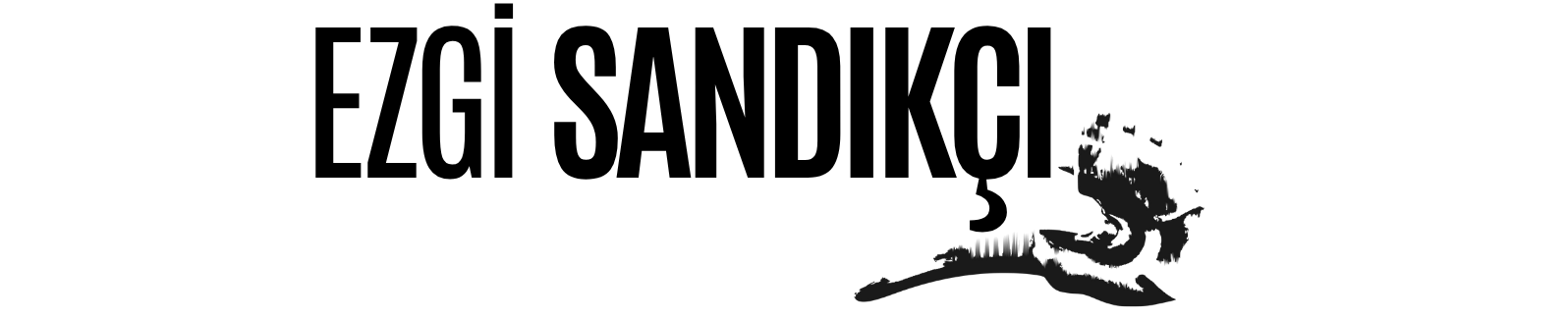 Intro Logo